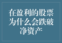 热爱股市的人为何成了破智青年：揭秘跌破净资产的秘密