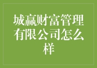 城赢财富管理有限公司：数字化金融的探索者