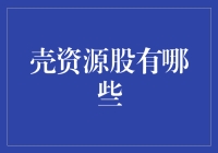 壳资源股：价值与风险并存的投资途径