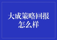 大成策略回报表现探究：全面解读与评估