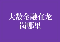 大数金融在龙岗，离梦想有多远？