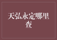 如何成为天弘永定的超级查神：一份详尽指南