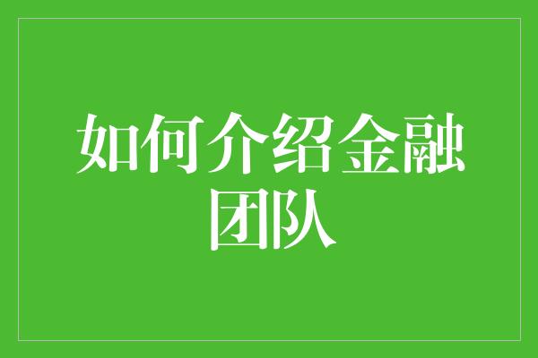 如何介绍金融团队