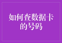 如何利用科技手段高效查询数据卡号码：方法与技巧