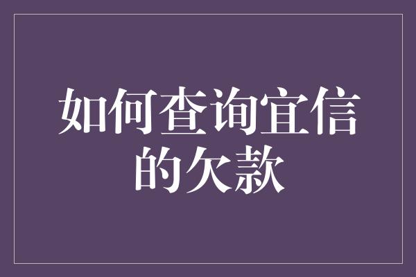 如何查询宜信的欠款