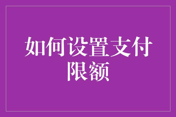 如何设置支付限额