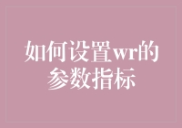 如何设置WR参数指标：提升模型准确率与泛化能力的关键实践