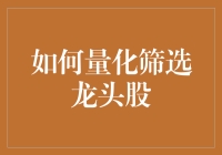 如何量化筛选龙头股：从微观数据到宏观趋势的全面解析