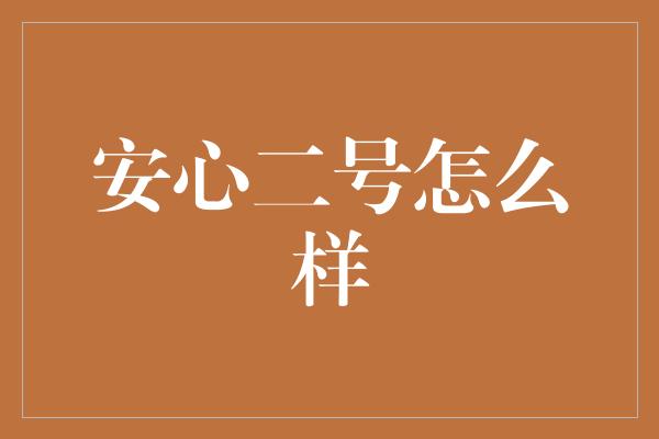 安心二号怎么样