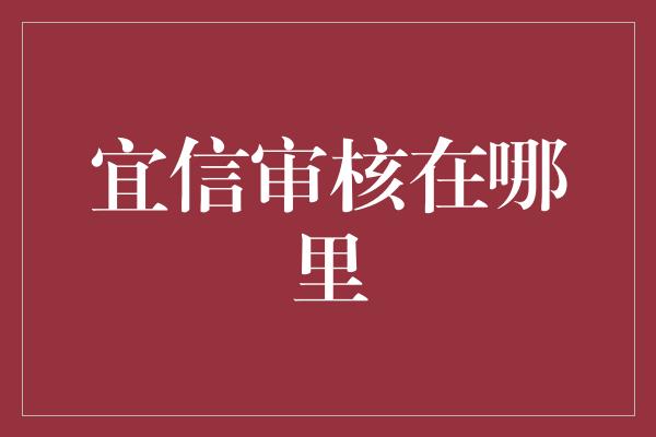 宜信审核在哪里