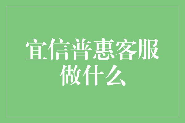 宜信普惠客服做什么