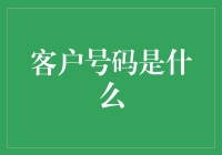 客户号？难道我是数字机器人吗？