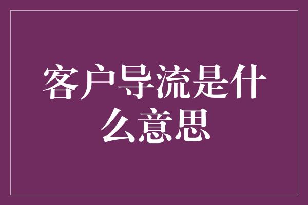 客户导流是什么意思