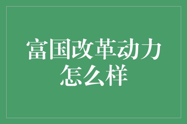 富国改革动力怎么样