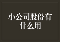 小公司股份：解锁潜在价值与成长机遇