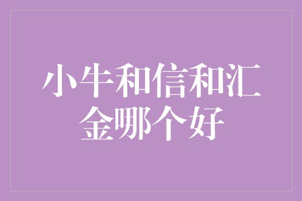 小牛和信和汇金哪个好