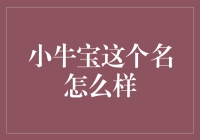 小牛宝：探索这个名字的文化底蕴与现代意义