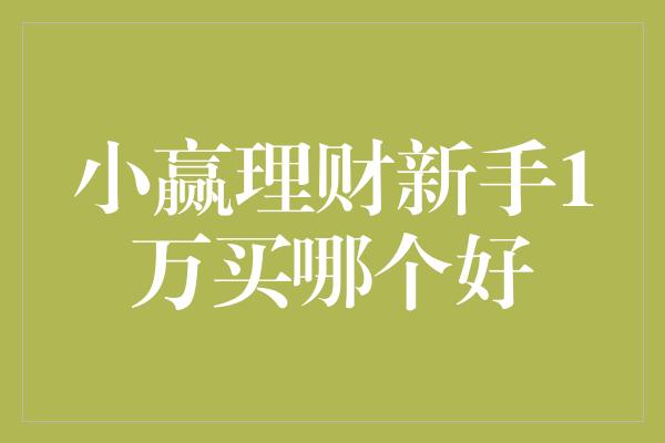 小赢理财新手1万买哪个好