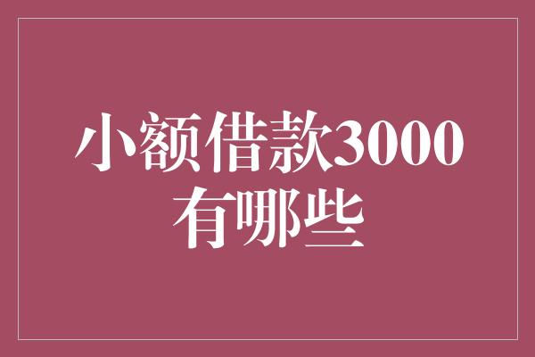 小额借款3000有哪些