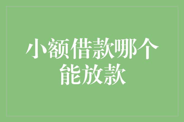 小额借款哪个能放款