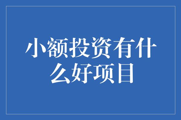 小额投资有什么好项目