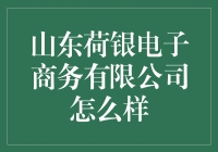 山东荷银电子商务有限公司怎么样？深度解析其运营模式与市场价值！