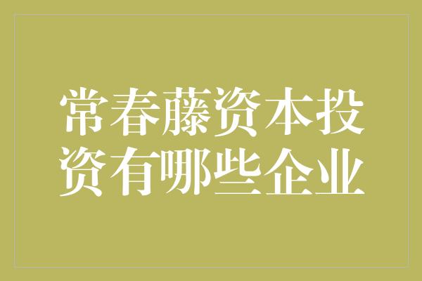 常春藤资本投资有哪些企业