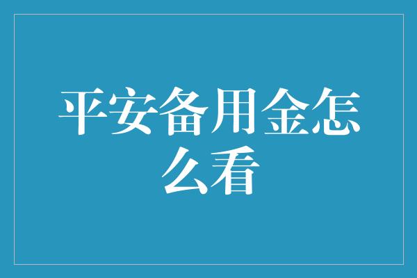 平安备用金怎么看