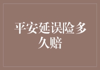 平安延误险理赔周期：从知晓到到账的全链路解析