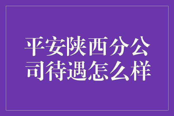 平安陕西分公司待遇怎么样