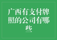 广西北部湾新兴支付公司全览：探寻广西支付牌照企业风采