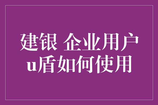 建银 企业用户u盾如何使用