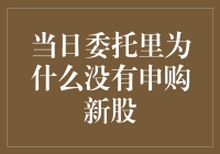 当日委托里为何查不到申购新股记录：深入解析新股申购机制