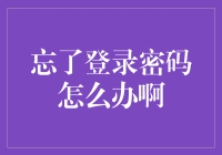 忘了登录密码怎么办？九招教你轻松应对