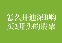 一招教你如何在深交所购买2开头的股票