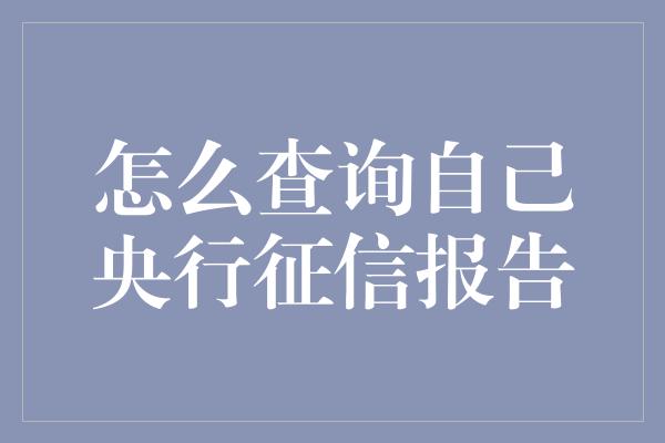 怎么查询自己央行征信报告