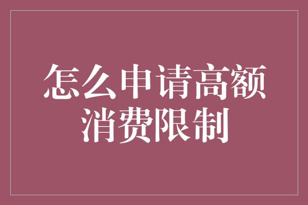 怎么申请高额消费限制