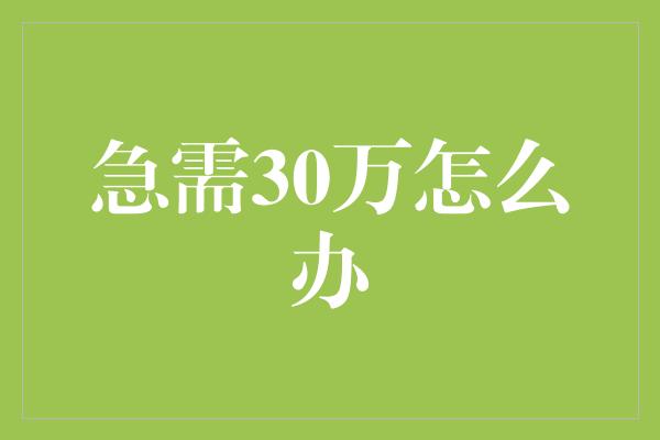 急需30万怎么办