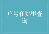 户号查询：一段从神秘到平凡的探险之旅