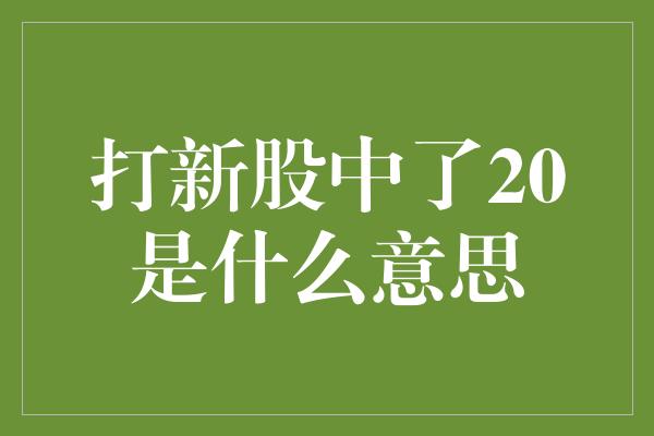 打新股中了20是什么意思