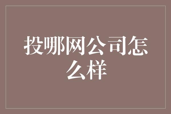 投哪网公司怎么样