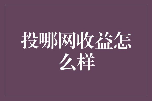 投哪网收益怎么样