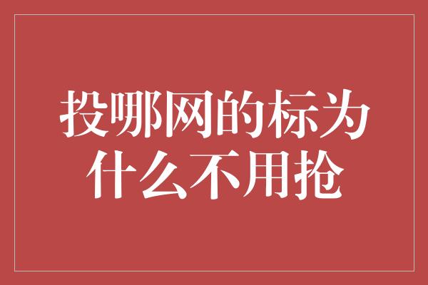 投哪网的标为什么不用抢