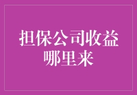 担保公司收益来源探析：以其独特的风险管理和融资工具为核心