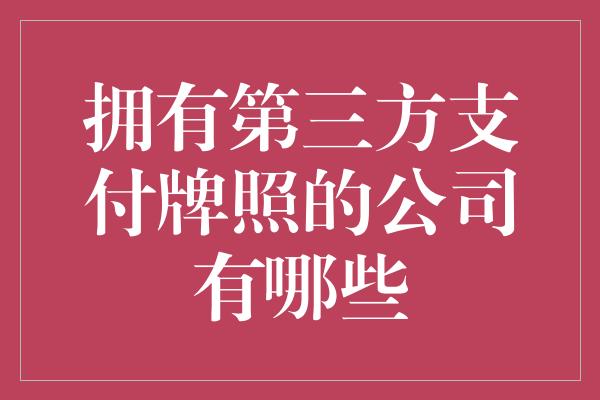 拥有第三方支付牌照的公司有哪些