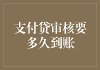 支付贷审核流程解析：从申请到到账的全面解析