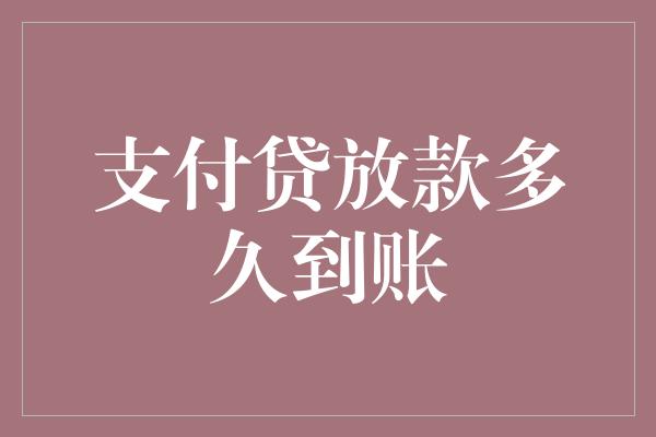 支付贷放款多久到账