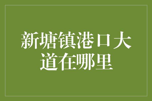 新塘镇港口大道在哪里