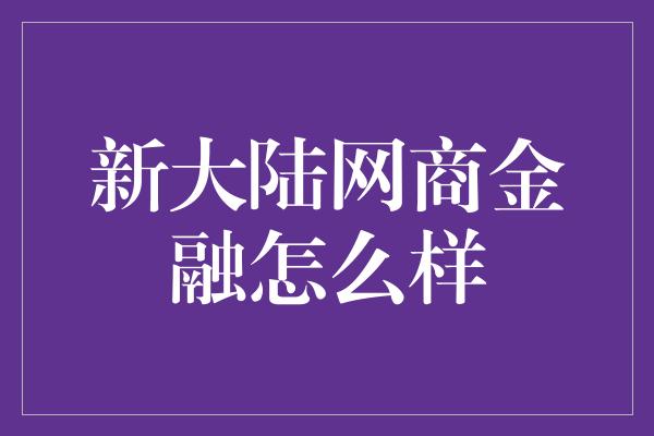 新大陆网商金融怎么样