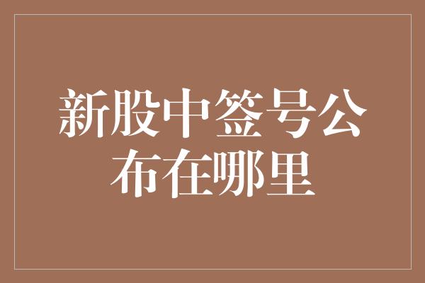 新股中签号公布在哪里